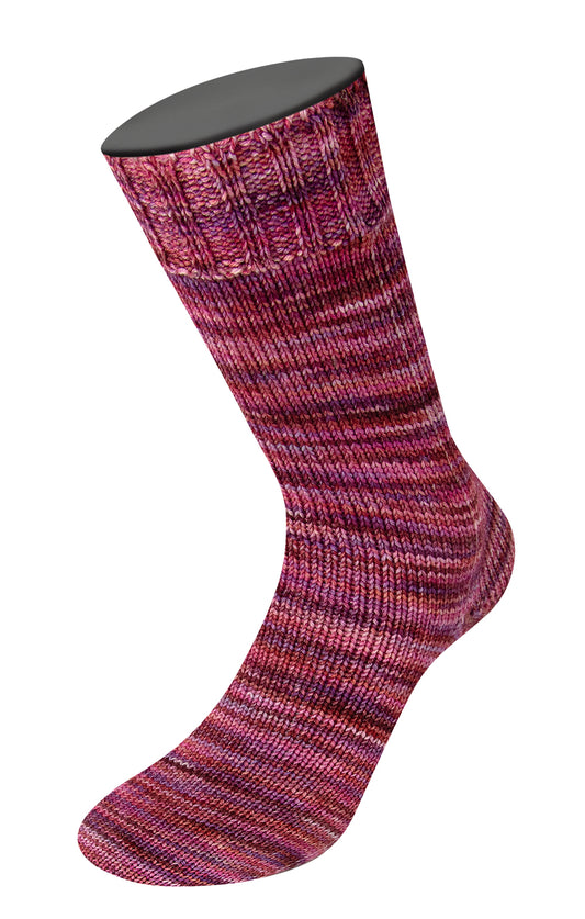1058 Vintage Socks Multi