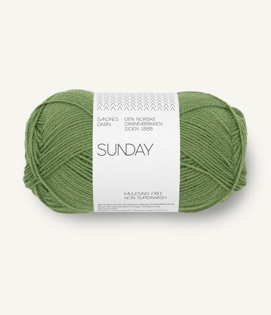 Sandnes Sunday 8753