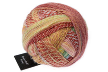 Lade das Bild in den Galerie-Viewer, Crazy Zauberball 2545 Early Automn
