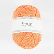 Lade das Bild in den Galerie-Viewer, Lopi Spuni #7242 Crazy Cantaloupe

