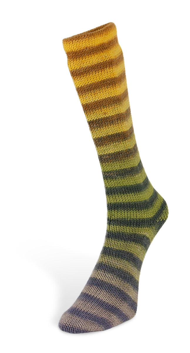 2 Laines du Nord Paint Socks 6-fach
