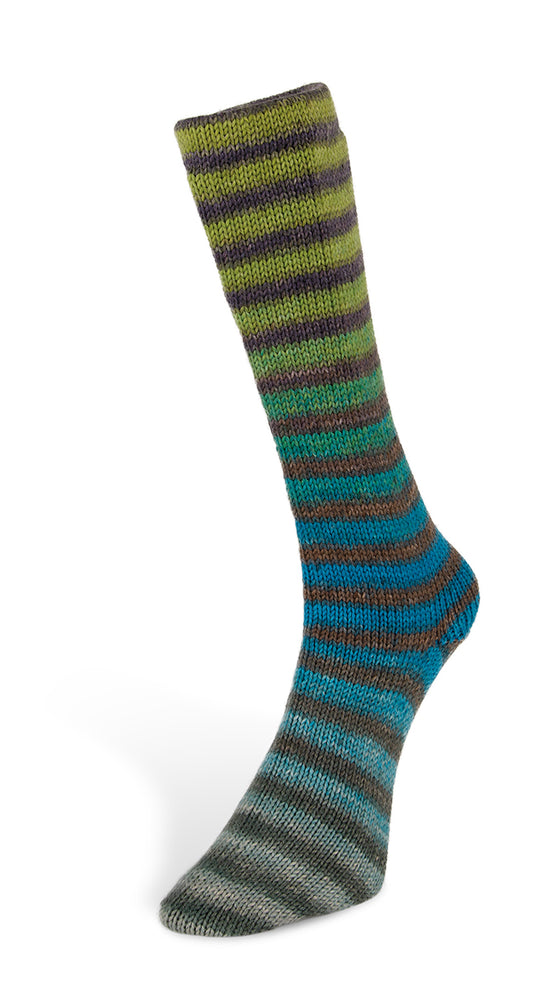 3 Laines du Nord Paint Socks 6-fach