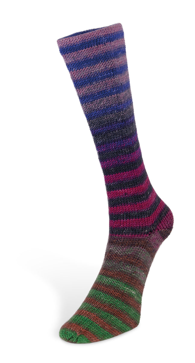 4 Laines du Nord Paint Socks 6-fach