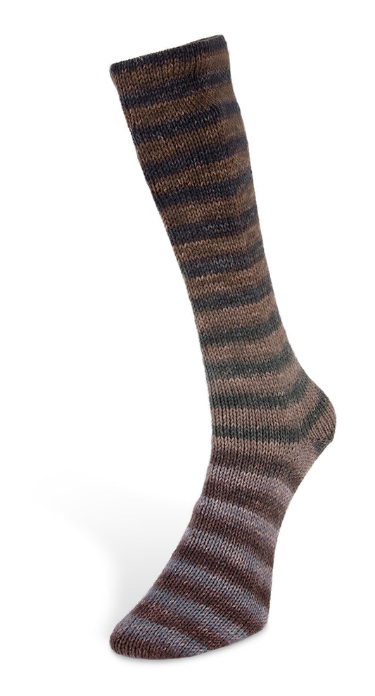 5 Laines du Nord Paint Socks 6-fach
