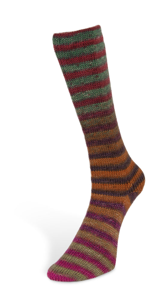 6 Laines du Nord Paint Socks 6-fach