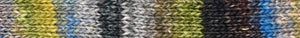 Noro Silk Garden Sock S 203 Daitou