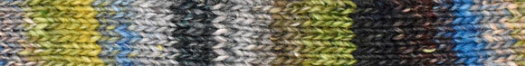 Noro Silk Garden Sock S 203 Daitou