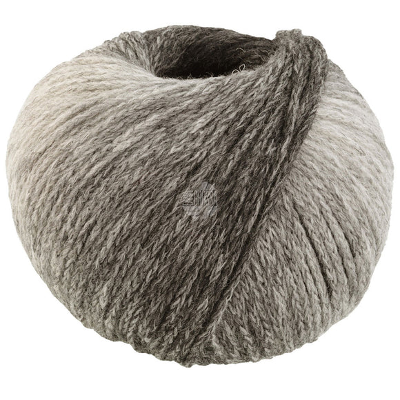 Cool Merino Dégradé #304