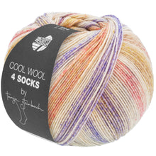 Lade das Bild in den Galerie-Viewer, Cool Wool 4 Socks Print 7762
