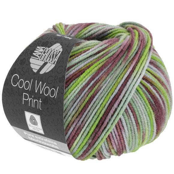Cool Wool Print 828