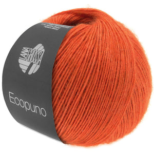Ecopuno 34