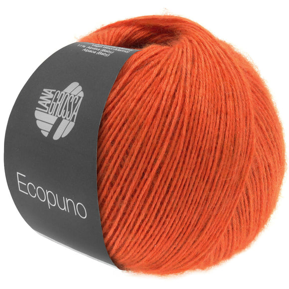 Ecopuno 34