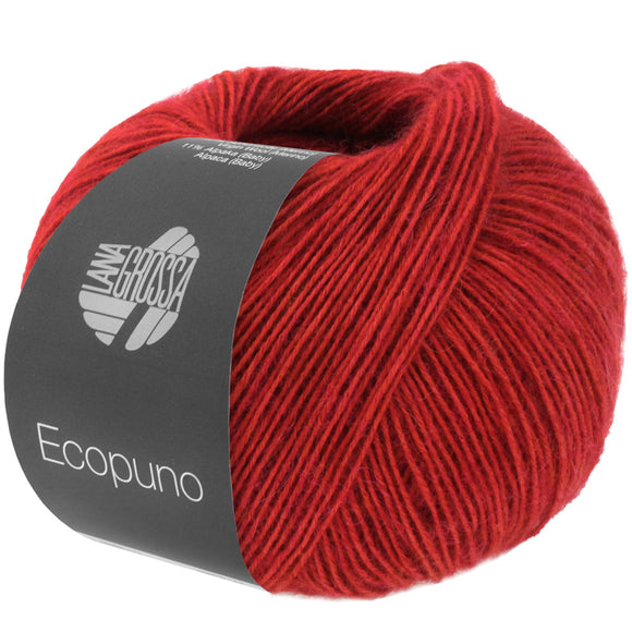 Ecopuno 81