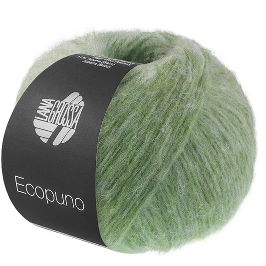 Ecopuno Sfumato 710