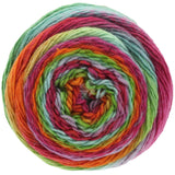 Meilenweit 100 Color Mix Multi 8004