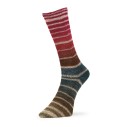 Nordic Socks 3