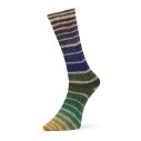 Nordic Socks 4