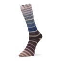 Nordic Socks 5