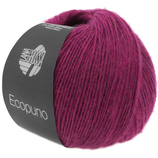 Ecopuno 22
