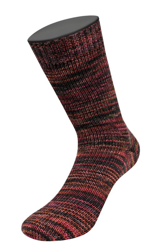 6223 Meilenweit 100 Sooty