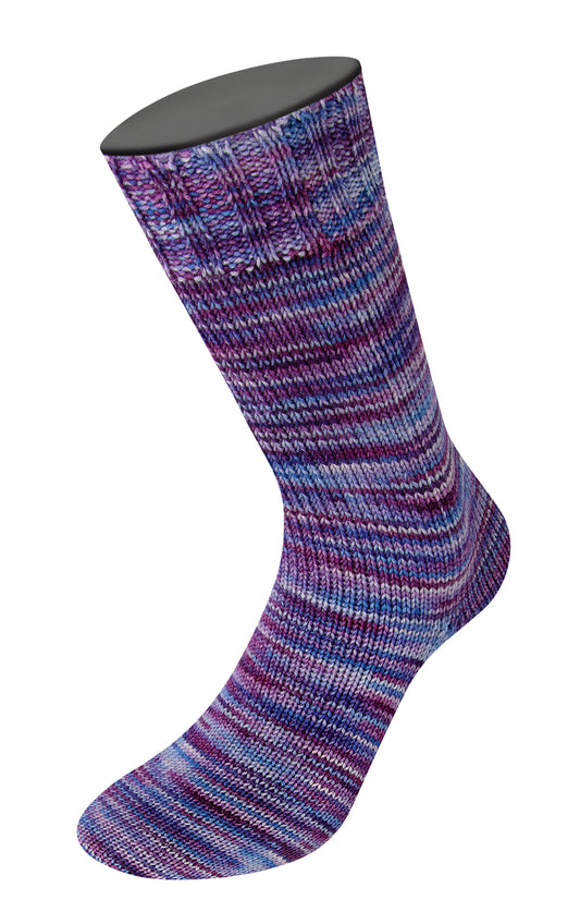 1056 Vintage Socks Multi