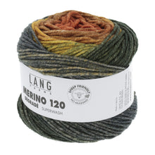 Lade das Bild in den Galerie-Viewer, Merino 120 degrade 3
