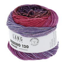 Lade das Bild in den Galerie-Viewer, Merino 120 degrade 4
