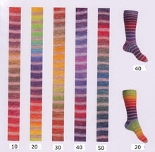 Lade das Bild in den Galerie-Viewer, Laines du Nord Paint Sock 40
