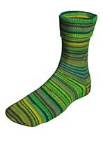 Lang Yarns Super Soxx 342 Capital Cities