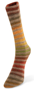 Laines du Nord Paint Sock 30