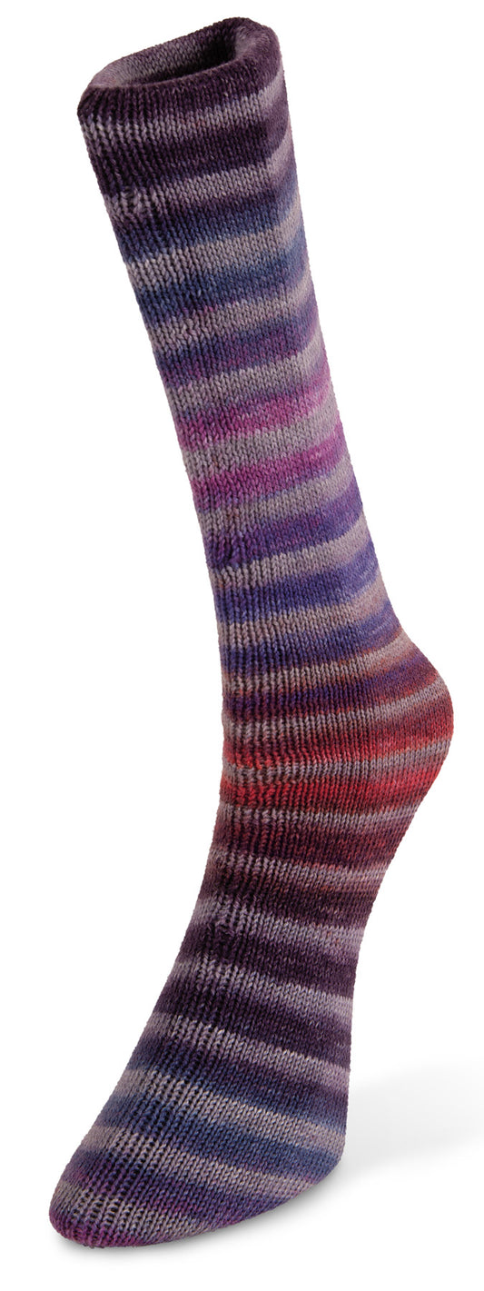 Laines du Nord Paint Sock 40