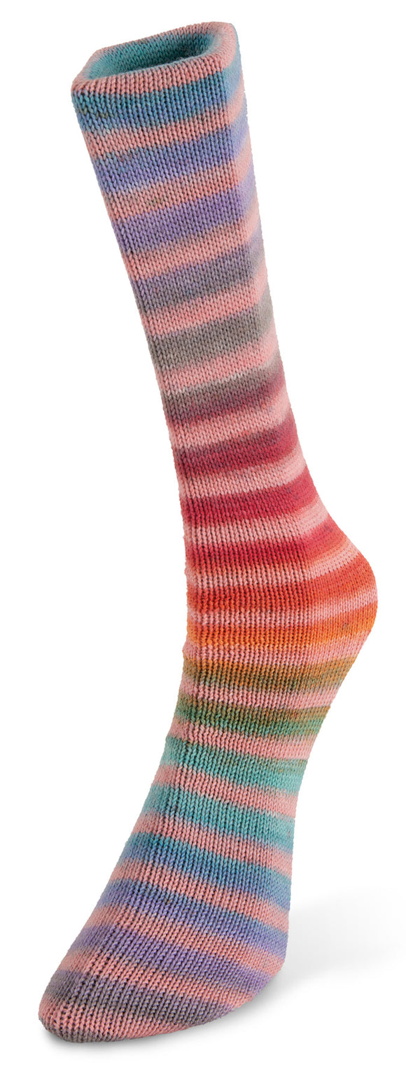 Laines du Nord Paint Sock 80