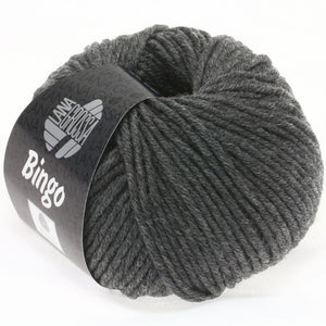 Lana Grossa Bingo Melange 4 we care