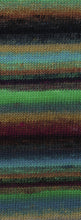 Lade das Bild in den Galerie-Viewer, Lana Grossa Colorissimo 4
