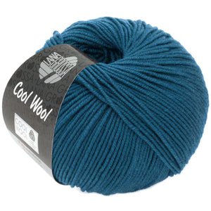 Cool Wool 2049 blaupetrol